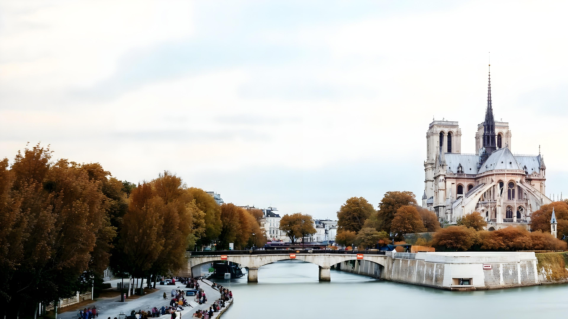 Notre dame de paris